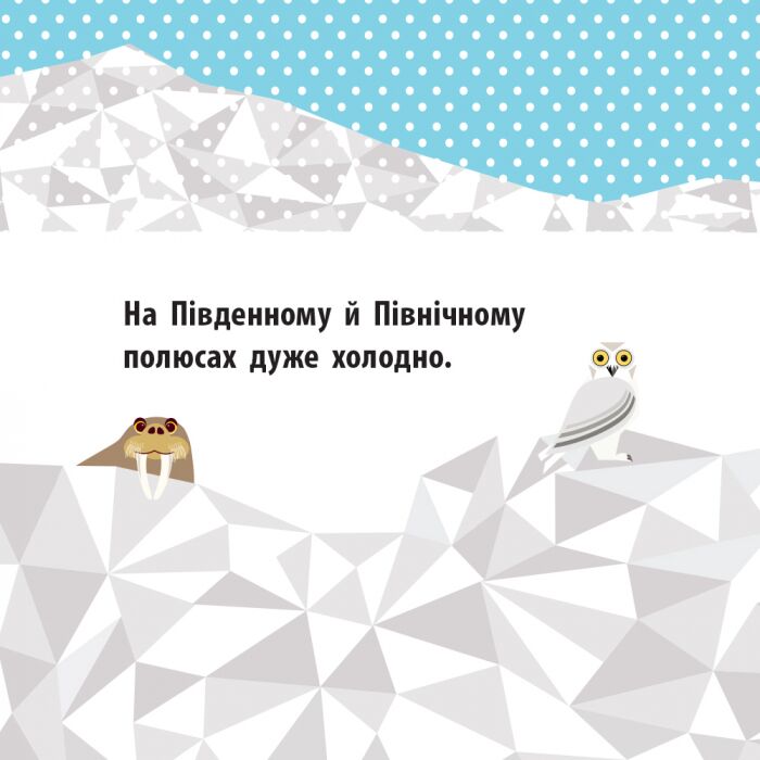 Полярні друзі Книга-картонка Познайомся з нами! Ранок - фото 6
