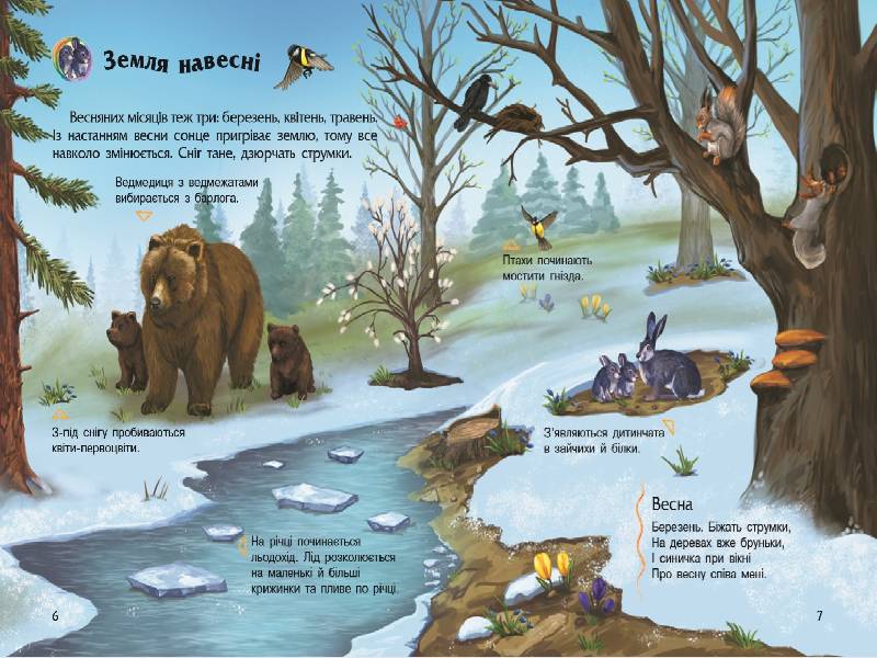 Наша планета - фото 4