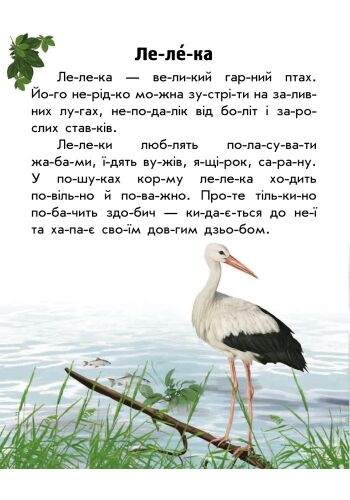 Тваринний світ лугів і степів - фото 2