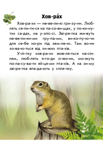 Тваринний світ лугів і степів - фото 4