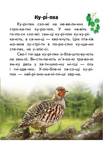 Тваринний світ лугів і степів - фото 5