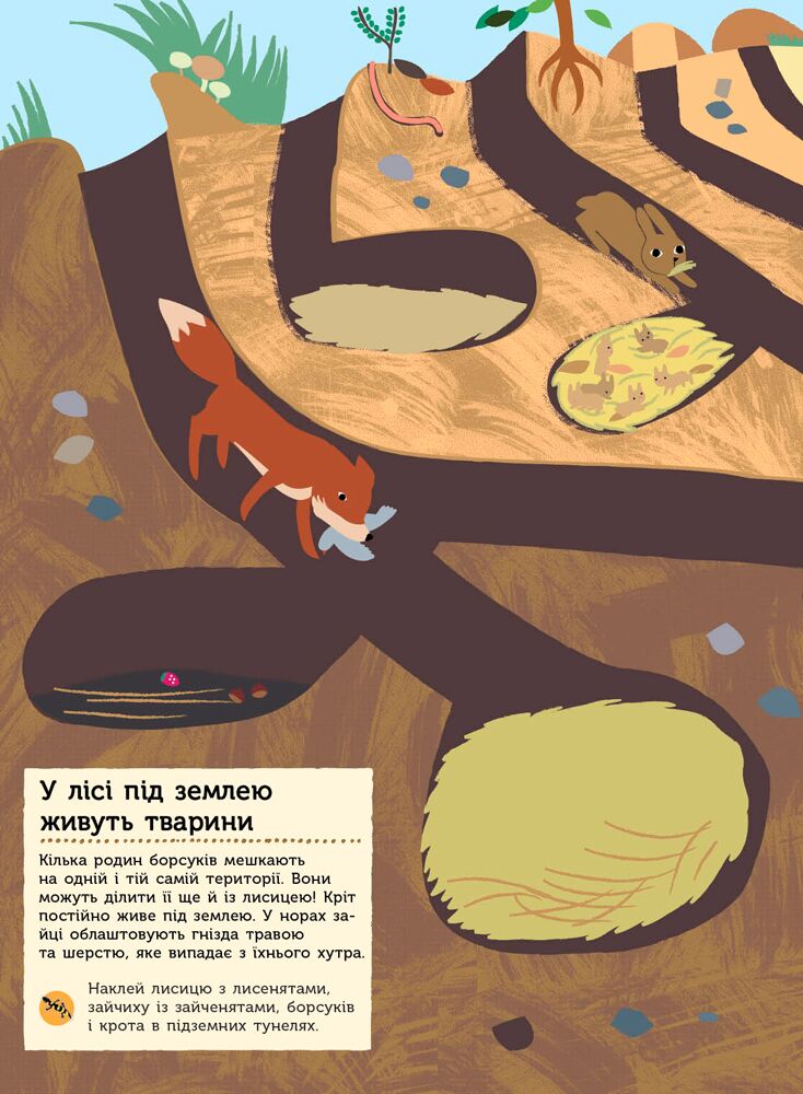 Тварини лісу Моя книга природи з наліпками та завданнями Ранок - фото 4