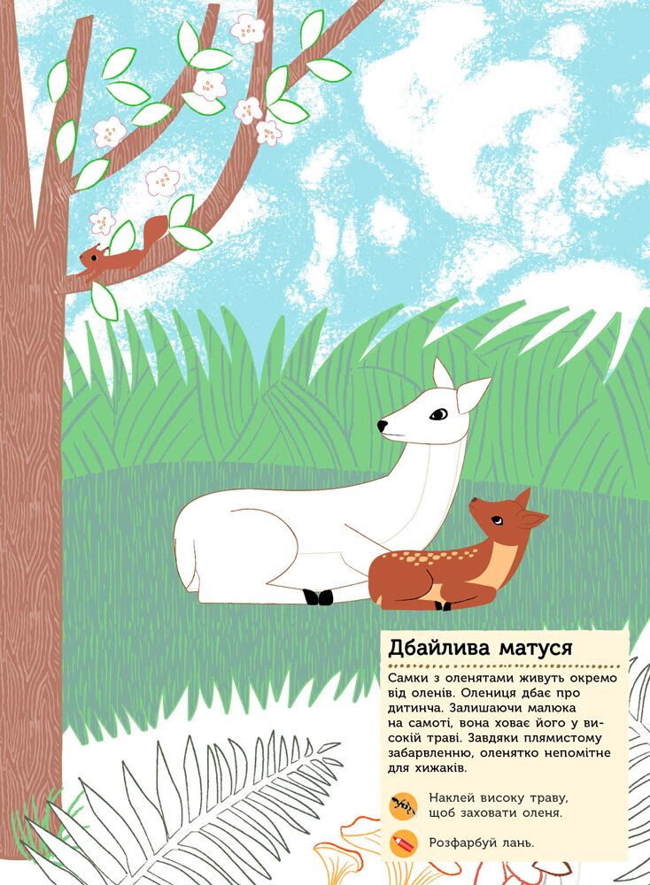 Тварини лісу Моя книга природи з наліпками та завданнями Ранок - фото 5
