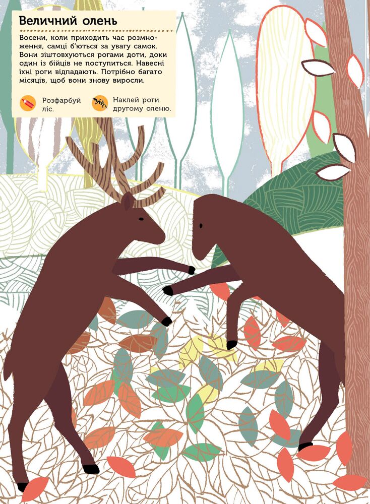 Тварини лісу Моя книга природи з наліпками та завданнями Ранок - фото 6