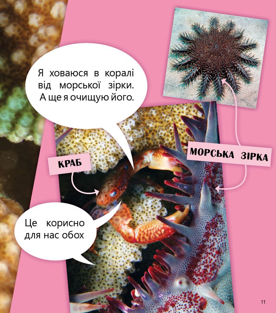 Космос повітря, вода і не тільки Рівень 2 Oxford Ранок - фото 5