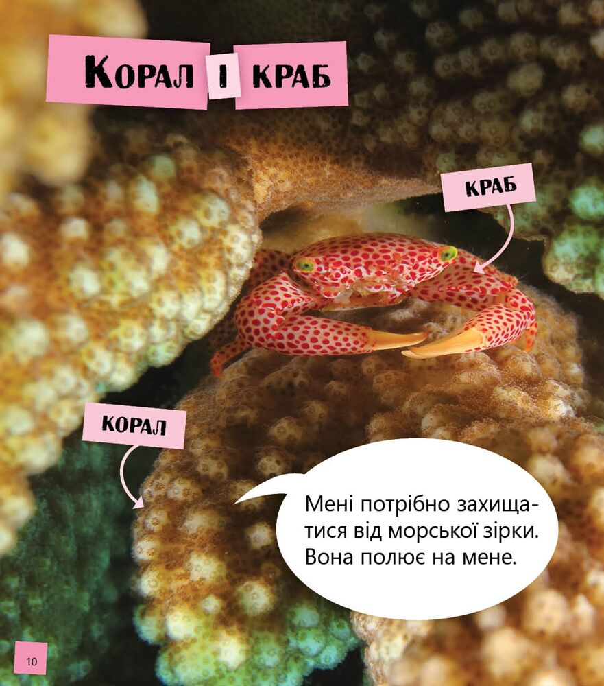 Космос повітря, вода і не тільки Рівень 2 Oxford Ранок - фото 6