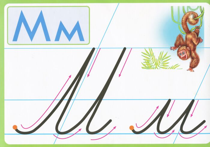 Розвиток мовлення.Зразки каліграфічного написання літер і цифр - фото 4