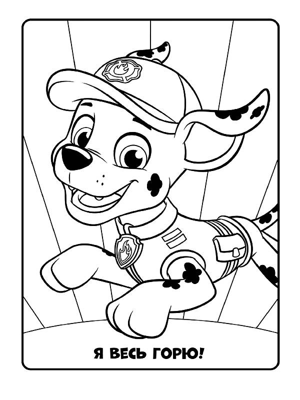 ЩП. Кольорові пригоди. Разом ми сила. - фото 2