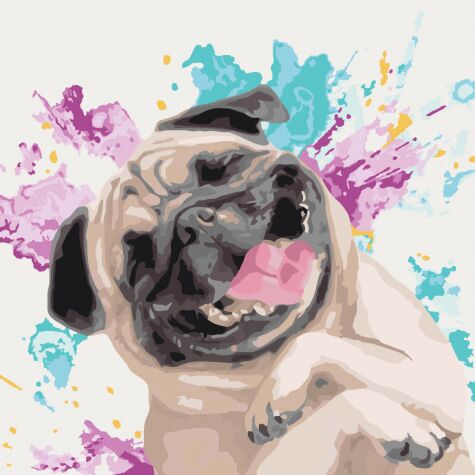 Картина по номерам Тварини, птахи; Улюблений веселун 40*40 см Картина по номерам Тварини, птахи; Улюблений веселун 40*40 см - Набори для розмальовування