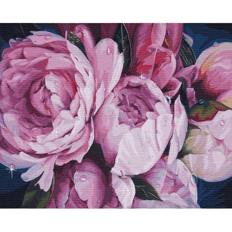 Набір для розпису по номерах. "Ніжність півоній" 40*50см - фото 1