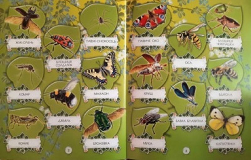 Тварини світу. Запамятай, знайди, покажи - фото 4