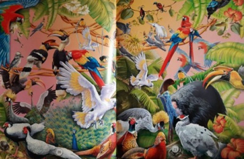 Тварини світу. Запамятай, знайди, покажи - фото 5