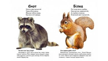 Хто це? Лісові тварини (фото) - фото 2