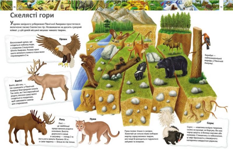Я і світ навколо мене. Ілюстрована енциклопедія - фото 6