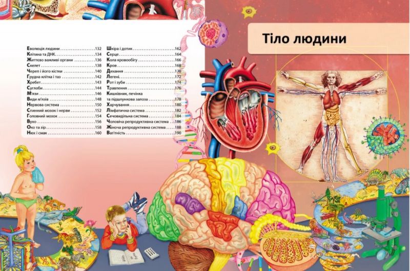 Я і світ навколо мене. Ілюстрована енциклопедія - фото 7