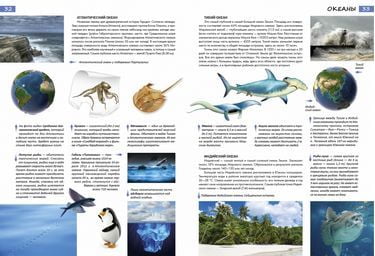 Планета земля - фото 3