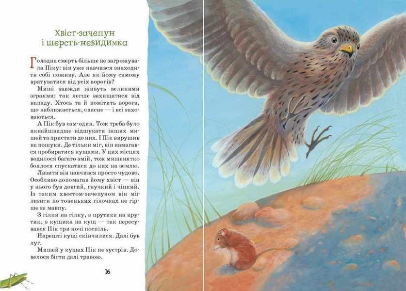 Оповідання та казки про тварин Віталій Біанкі Школа - фото 2