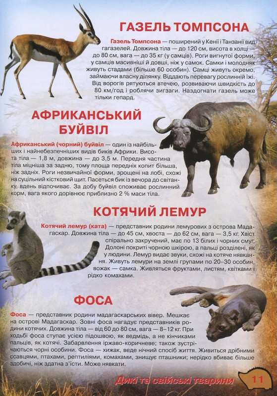 Ілюстрований атлас живої природи Кристал Бук - фото 3