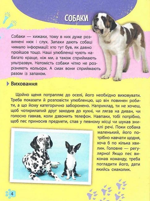 Мініенциклопедія. Хатні улюбленці - фото 3