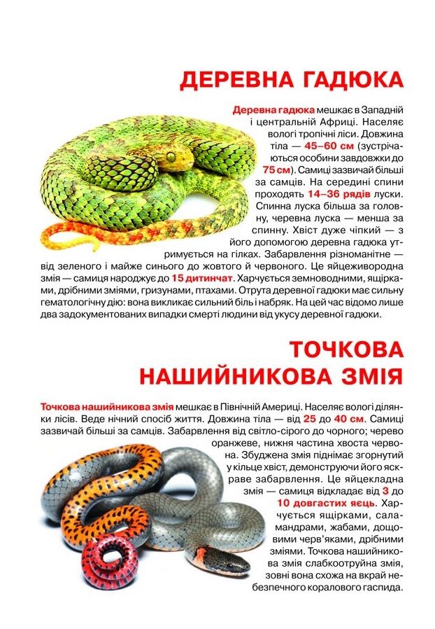 Велика книжка. Отруйні змії - фото 3