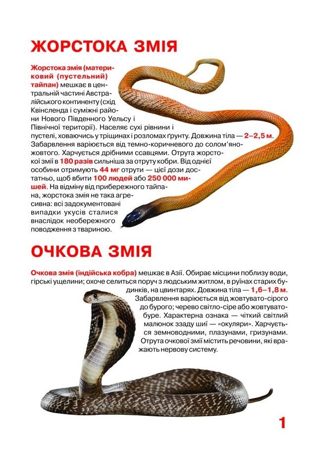 Велика книжка. Отруйні змії - фото 4