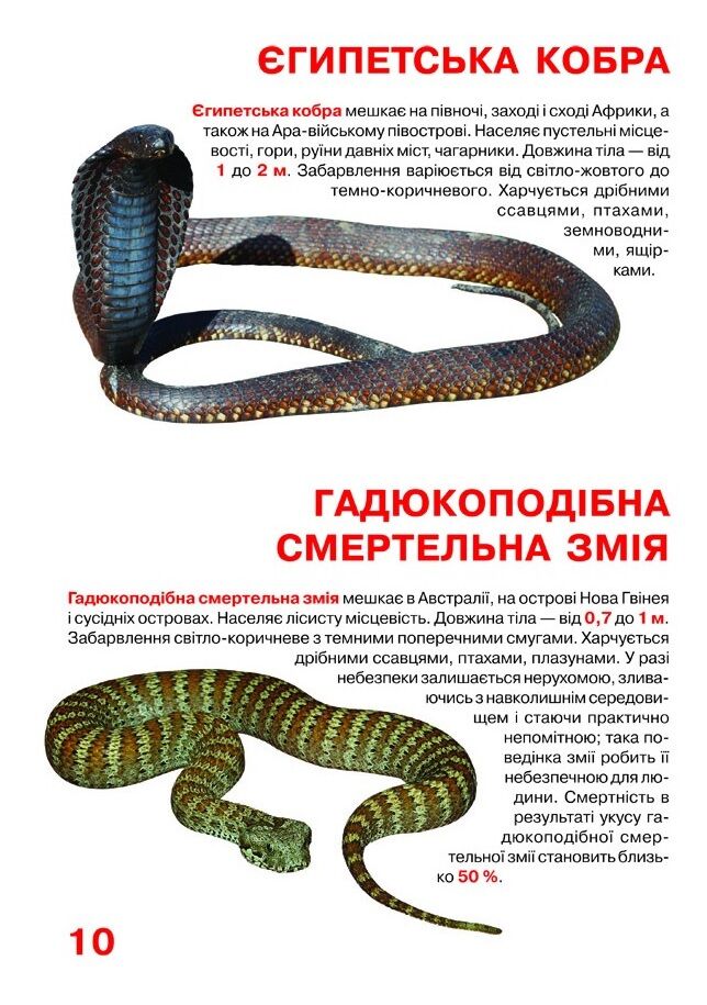 Велика книжка. Отруйні змії - фото 5