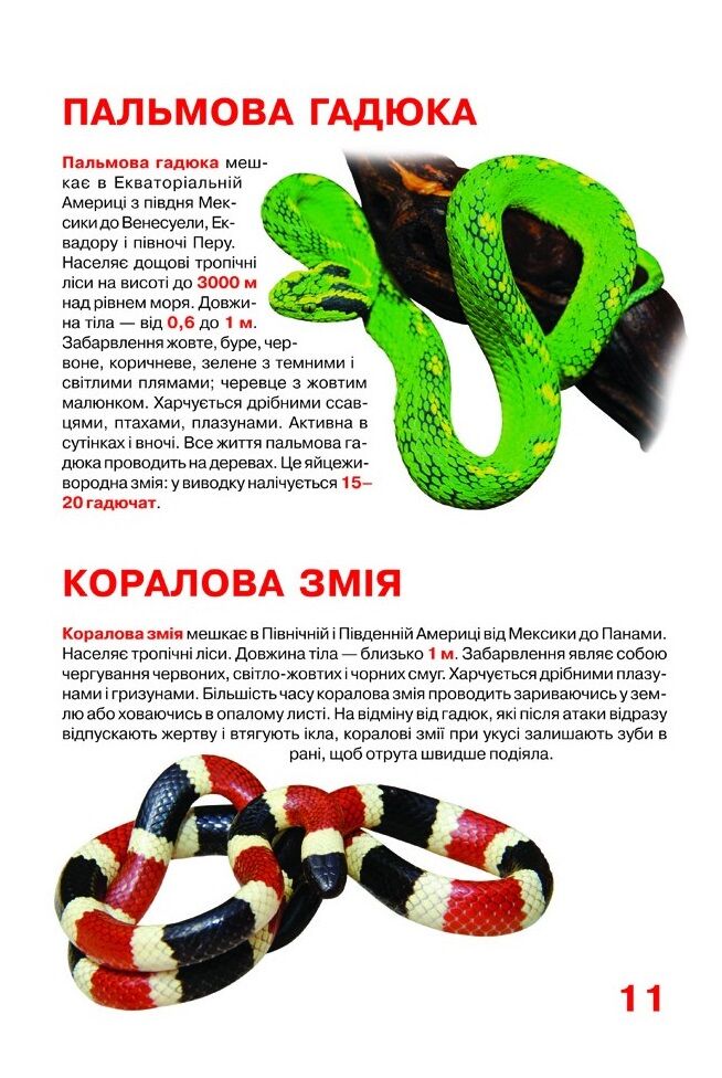 Велика книжка. Отруйні змії - фото 6