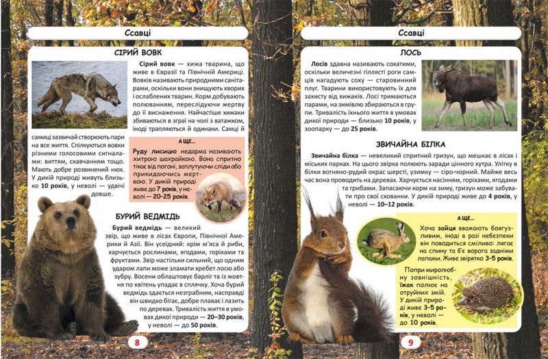 Світ навколо нас. Хто скільки живе? - фото 2