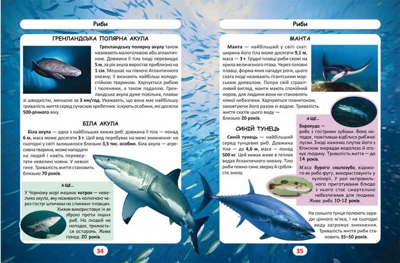 Світ навколо нас. Хто скільки живе? - фото 3