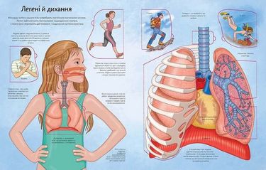 Тіло. Енциклопедія з віконцями - фото 3