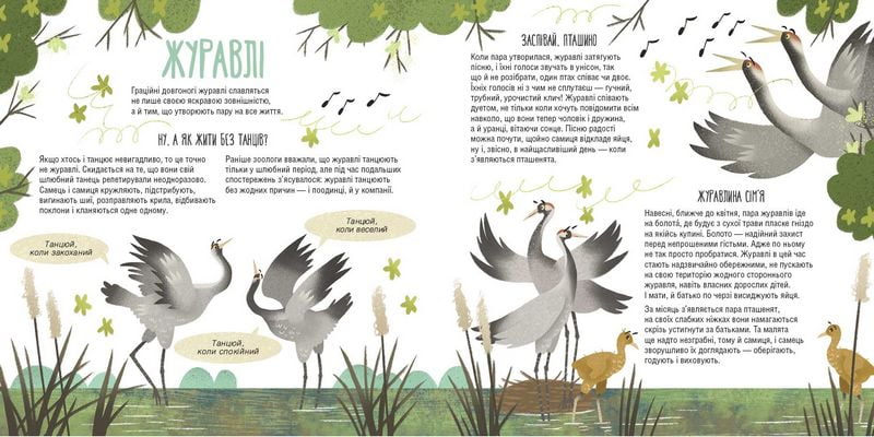 Тато, мама, я — твариняча сім’я - фото 4