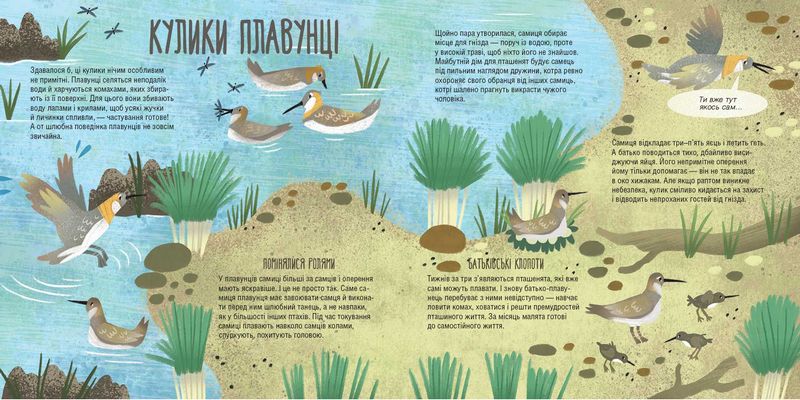 Тато, мама, я — твариняча сім’я - фото 7