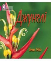 Джунглі Джунглі