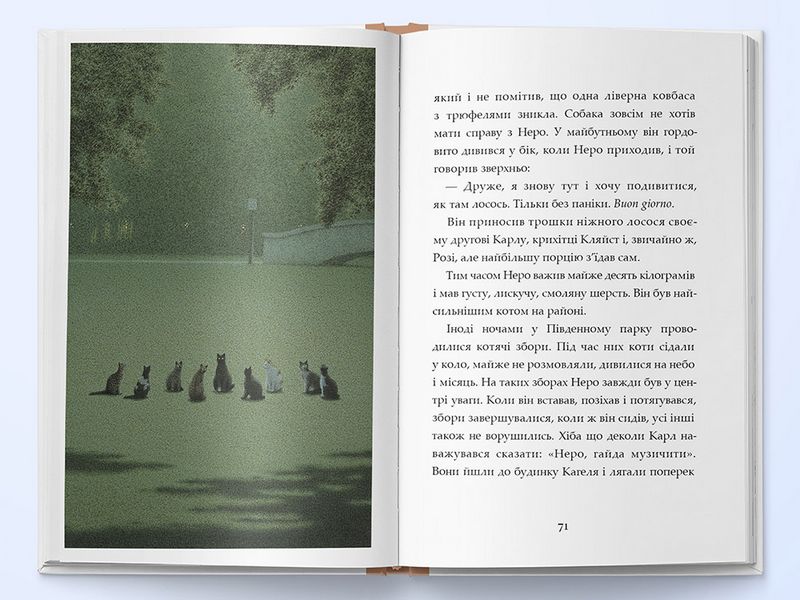 Неро Корлеоне. Історія одного кота - фото 5