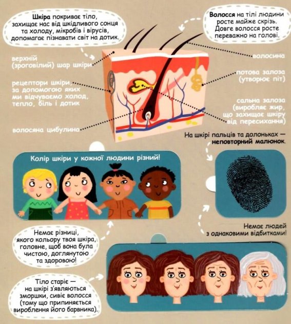 Енциклопедія - Твоє дивовижне тіло. Твоє дивовижне тіло. Галина Дерипаско. Школа. - фото 2