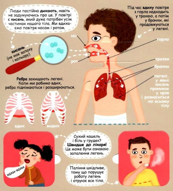 Енциклопедія - Твоє дивовижне тіло. Твоє дивовижне тіло. Галина Дерипаско. Школа. - фото 3