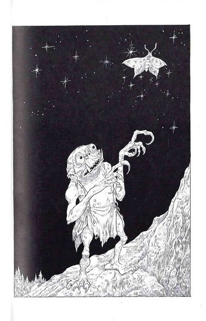 Зоряний годинник. Сутінкова нетля - фото 3