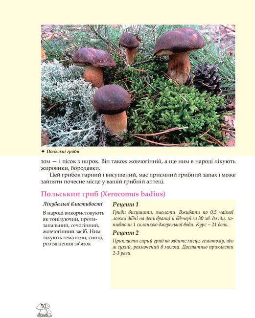 У пошуках грибного царства - фото 5