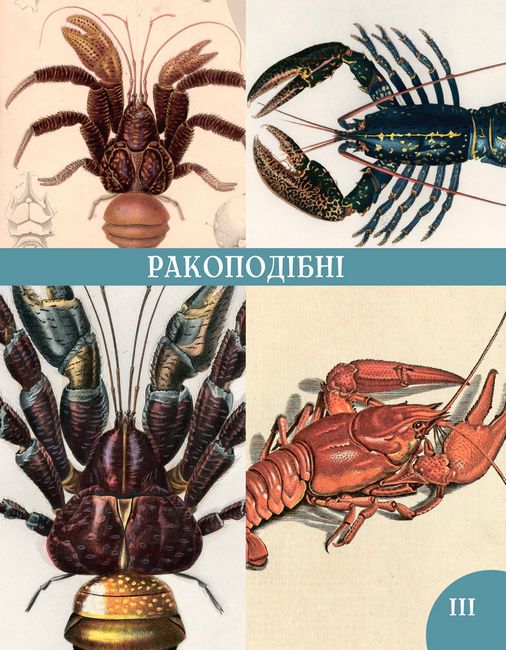 Розповіді про тварин та їх назви - фото 2