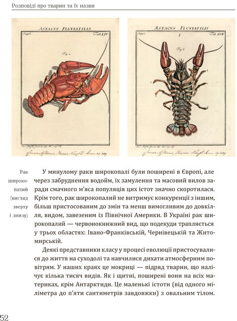 Розповіді про тварин та їх назви - фото 3