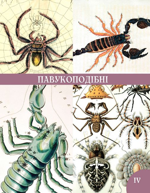 Розповіді про тварин та їх назви - фото 4