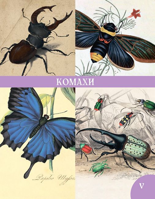 Розповіді про тварин та їх назви - фото 5