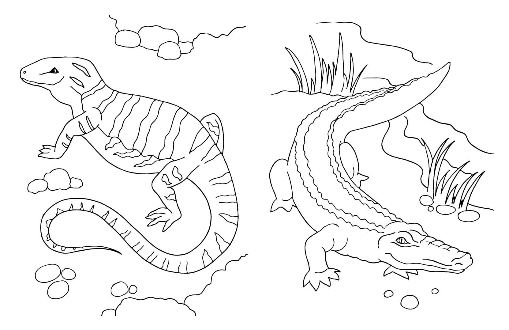 Тварини - фото 4