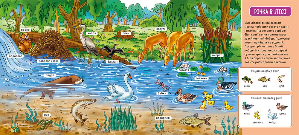 У лісі - фото 3