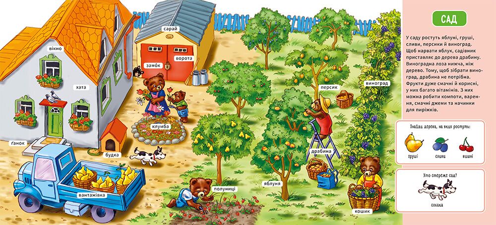 На фермі - фото 4