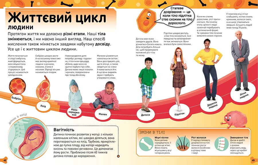 Фантастичне тіло. Шалена кров, круті кістки, потайні нутрощі й інші дивовижі - фото 3