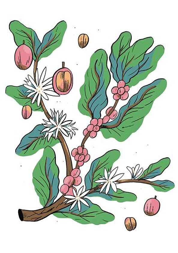 Нові кавові правила - фото 7