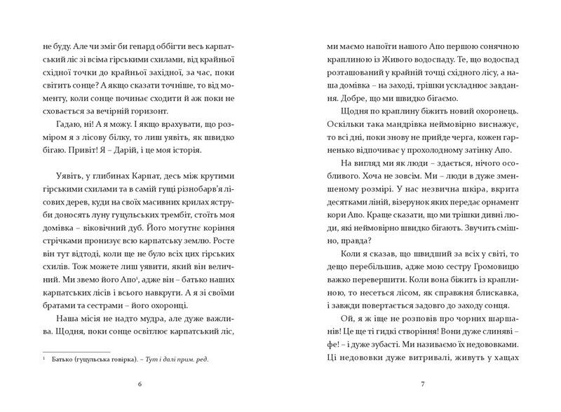 Біжи, доки світить сонце - фото 3