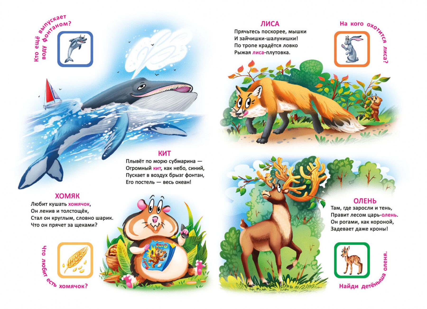 Книга-картонка с механизмом Думай, крути, читай. Мир вокруг тебя. Crystal Book. - фото 3