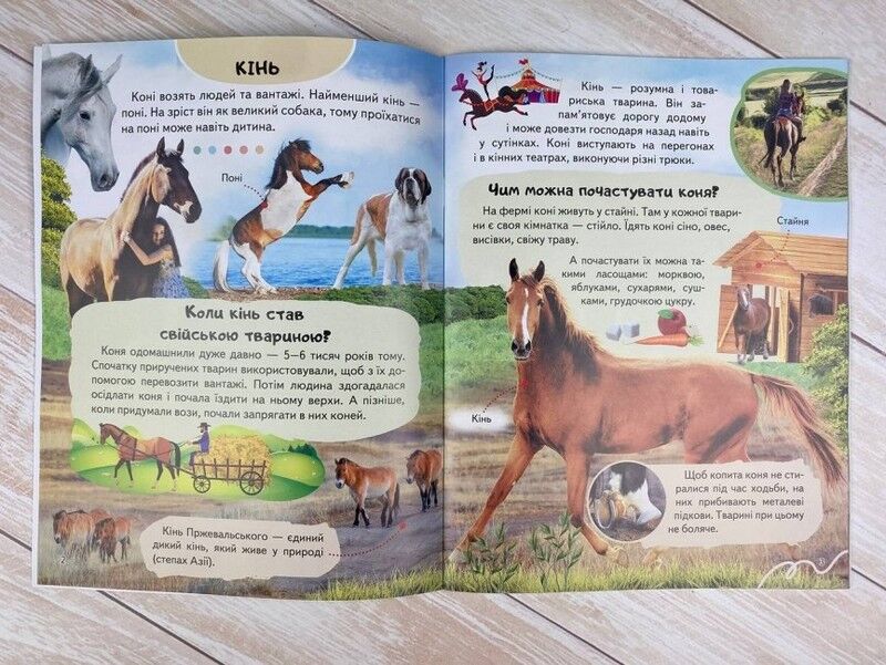 Енциклопедія Ферма. Унікальні факти, цікава інформація про домашніх тварин - фото 2